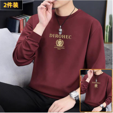 Stylish Sweatshirt for Winter